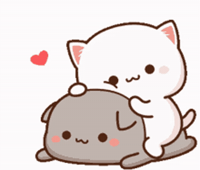 A White Cat Is Holding A Gray Cat On Top Of A Pillow With A Heart In The Background . GIF