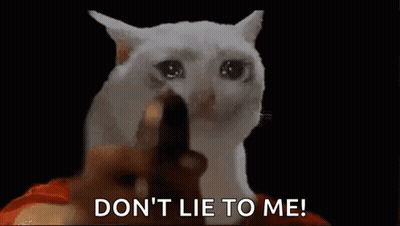 A White Cat Is Holding A Gun In Front Of It And Says `` Do N't Lie To Me '' . GIF