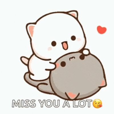 A White Cat Is Hugging A Gray Cat With The Words `` Miss You A Lot '' . GIF