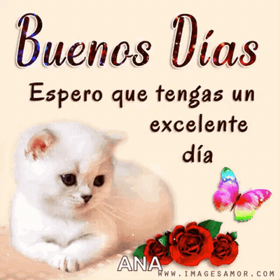 a white cat is laying next to red roses and a butterfly with the words buenos dias