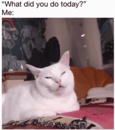 A White Cat Is Laying On A Bed With A Caption That Says " What Did You Do Today Me " GIF