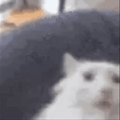 A White Cat Is Laying On A Blue Couch . GIF