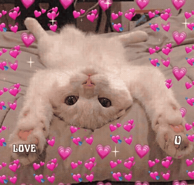 A White Cat Is Laying On Its Back On A Bed With Pink Hearts Around It And The Word Love On The Bottom GIF