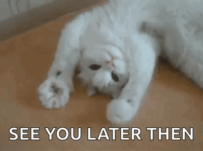A White Cat Is Laying On Its Back On A Wooden Floor And Says `` See You Later Then '' . GIF
