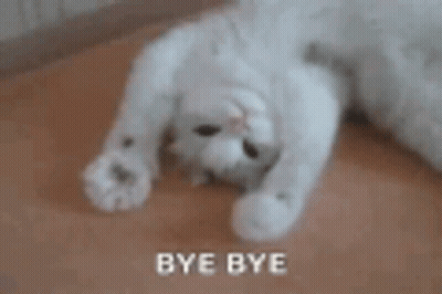 A White Cat Is Laying On Its Back On A Wooden Floor With The Words `` Bye Bye '' Above It . GIF