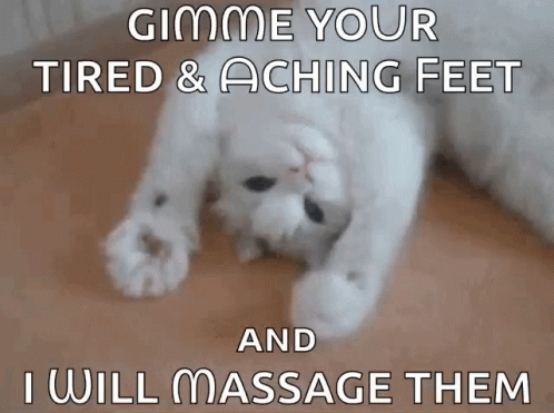 A White Cat Is Laying On Its Back With The Words Gimme Your Tired & Aching Feet And I Will Massage Them GIF