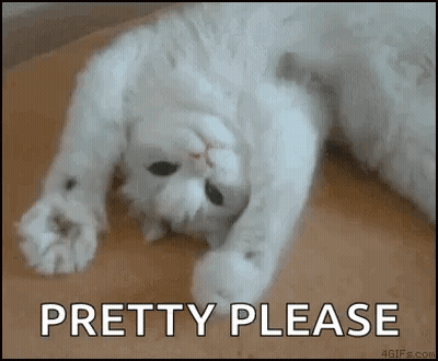 A White Cat Is Laying On Its Back With The Words `` Pretty Please '' Written Below It . GIF