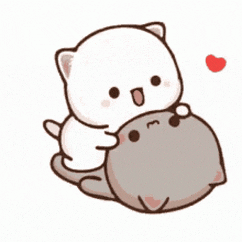 White Cat Laying On Gray Cat With Heart Background GIF