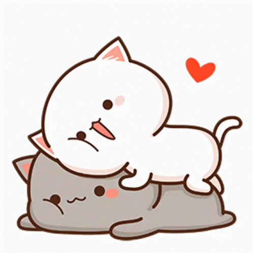 White Cat Laying On Gray Cat With Heart GIF