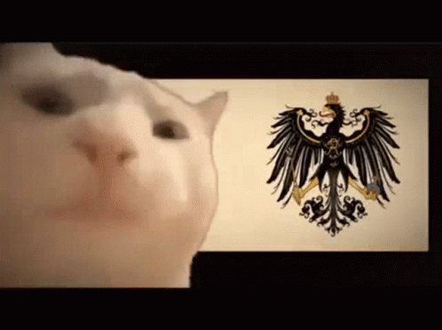 A White Cat Is Looking At An Eagle On A Flag GIF
