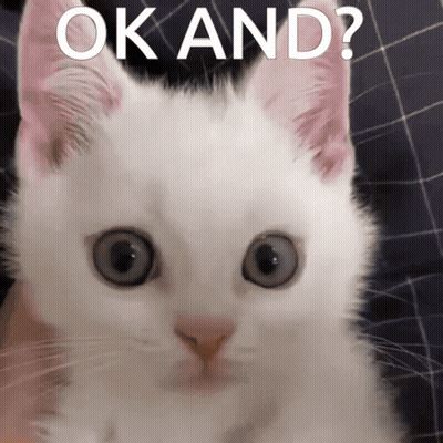 A White Cat Is Looking At The Camera With The Words Ok And Written Above It GIF
