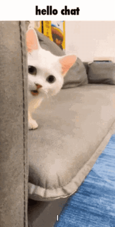 A White Cat Is Peeking Out From Behind A Couch And Says Hello Chat . GIF