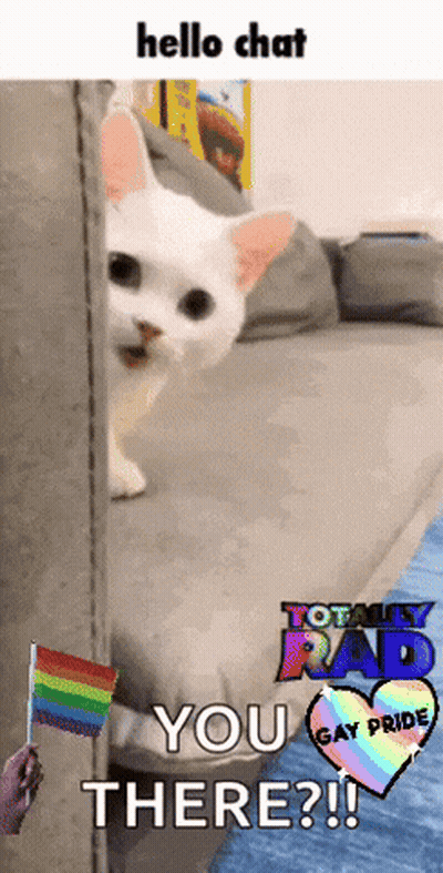 A White Cat Is Peeking Out From Behind A Wall With A Rainbow Flag And The Words Hello Chat You There GIF