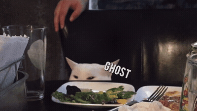 A White Cat Is Sitting At A Table With A Plate Of Food And A Ghost Sticker On It GIF