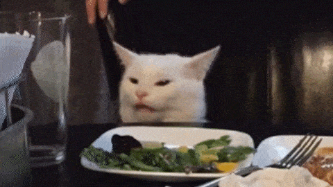 A White Cat Is Sitting At A Table With A Plate Of Food And A Glass . GIF