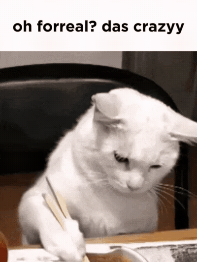 A White Cat Is Sitting At A Table With A Spoon In Its Mouth And The Caption Oh Forreal Das Crazyy GIF