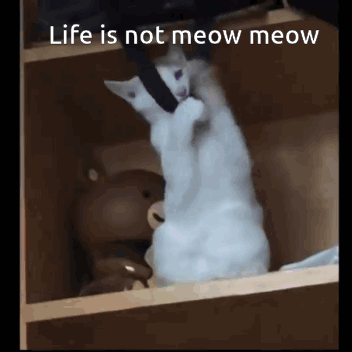 A White Cat Is Sitting In A Box With The Words Life Is Not Meow Meow Written Above It GIF