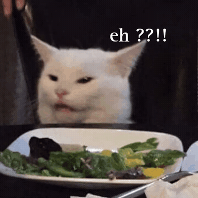 A White Cat Is Sitting In Front Of A Plate Of Salad . GIF
