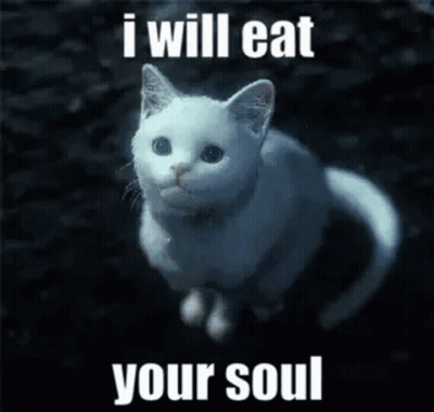 A White Cat Is Sitting In The Dark With The Words `` I Will Eat Your Soul '' Written On It . GIF