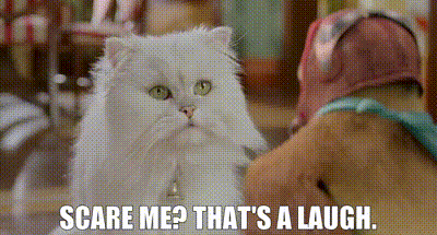 A White Cat Is Sitting Next To A Person With The Words `` Scare Me That 'S A Laugh '' . GIF
