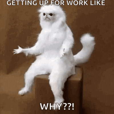A White Cat Is Sitting On A Box With The Caption " Getting Up For Work Like Why ?? " GIF