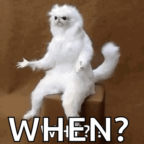 A White Cat Is Sitting On A Box With The Word When Written On It . GIF