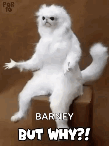 A White Cat Is Sitting On A Box With The Words Barney But Why ? GIF