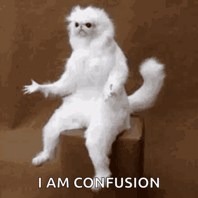 A White Cat Is Sitting On A Box With The Words " I Am Confusion " Above It GIF