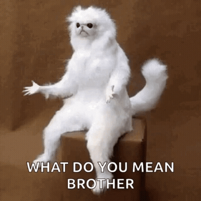 A White Cat Is Sitting On A Box With The Words `` What Do You Mean Brother '' Written Below It . GIF