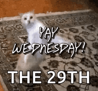 A White Cat Is Sitting On A Rug With The Words `` Yay Wednesday ! The 29Th '' . GIF