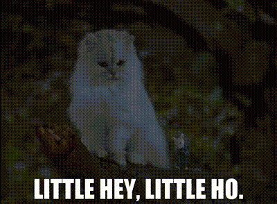 A White Cat Is Sitting On A Tree Branch With The Words Little Hey Little Ho Below It GIF