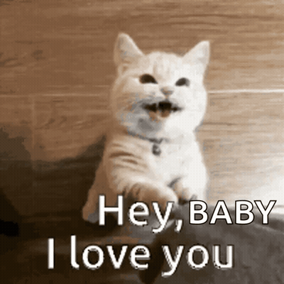 A White Cat Is Sitting On The Floor With Its Mouth Open And Says Hey Baby I Love You . GIF