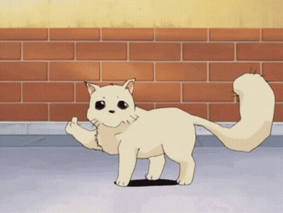 A White Cat Is Standing In Front Of A Brick Wall And Giving The Middle Finger GIF