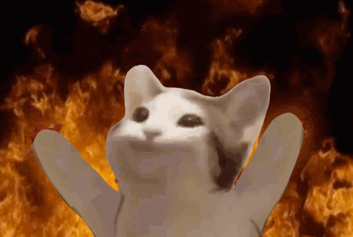 A White Cat Is Standing In Front Of A Fire GIF
