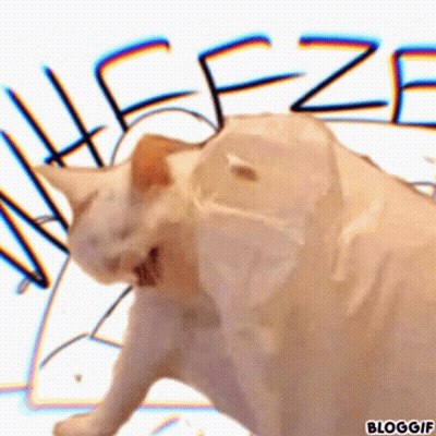 A White Cat Is Standing In Front Of A Sign That Says ' Bloggif ' GIF