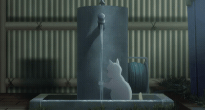 A White Cat Is Standing Next To A Faucet With Water Coming Out Of It GIF
