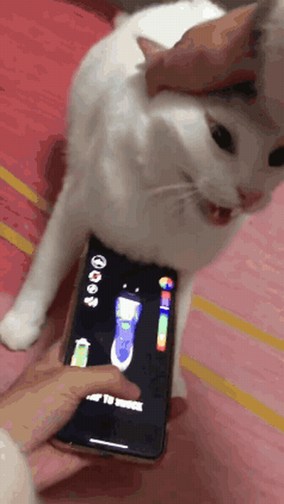 A White Cat Is Standing Next To A Person Holding A Cell Phone With A Flashlight On The Screen GIF