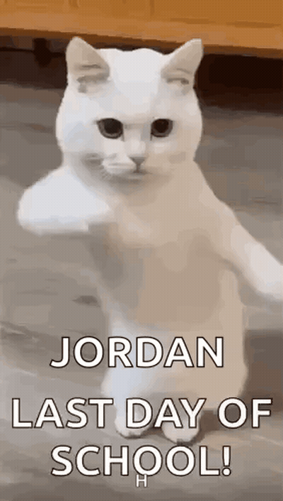 A White Cat Is Standing On Its Hind Legs And Making A Fist . GIF