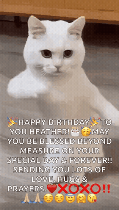 a white cat is standing on its hind legs with a birthday message written on it .