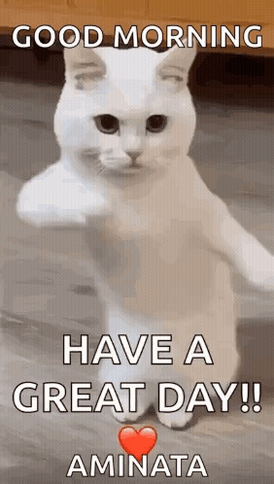 A White Cat Is Standing On Its Hind Legs With Its Paw Up And Says `` Good Morning Have A Great Day ! '' GIF