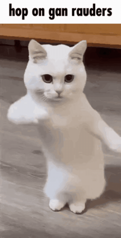 A White Cat Is Standing On Its Hind Legs With The Caption Hop On Gan Raiders GIF