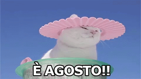A White Cat Is Wearing A Pink Hat And Sitting In A Basket . GIF