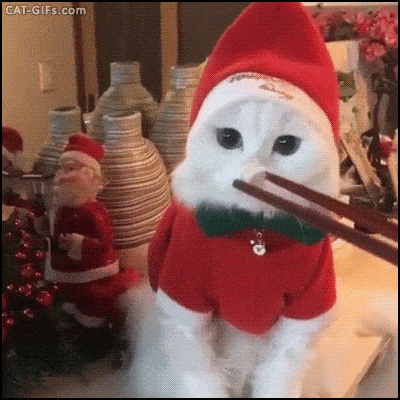 A White Cat Is Wearing A Santa Claus Outfit And Eating With Chopsticks GIF