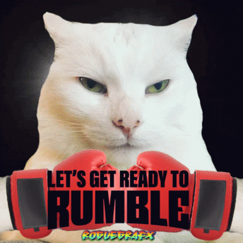 A White Cat Is Wearing Red Boxing Gloves With The Words Let 'S Get Ready To Rumble GIF