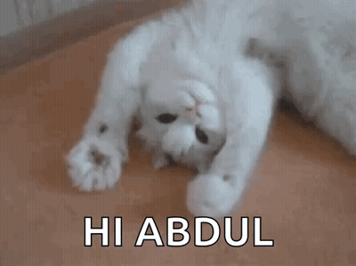 A White Cat Laying On Its Back With The Word Hi Abdul Written On The Bottom GIF