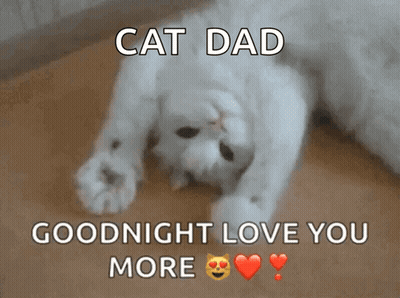 A White Cat Laying On Its Back With The Words Cat Dad Goodnight Love You More Above It GIF