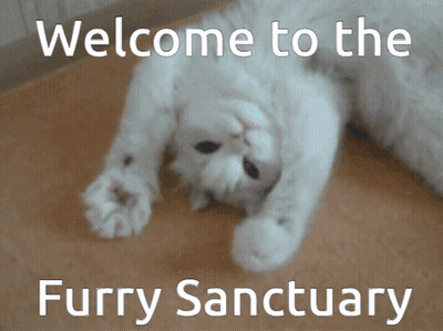 A White Cat Laying On Its Back With The Words Welcome To The Furry Sanctuary GIF