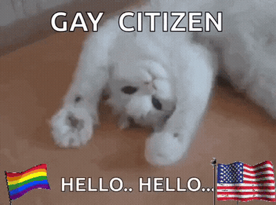 A White Cat Laying On The Floor With The Words Gay Citizen Written Above It GIF