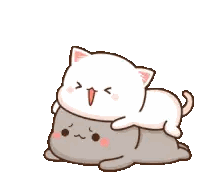 A White Cat Laying On Top Of A Gray Cat . Sticker