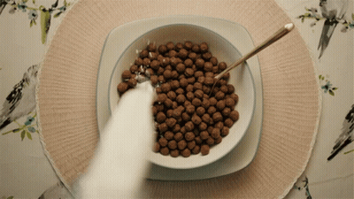 A White Cat Reaches Into A Bowl Of Cereal With A Spoon GIF